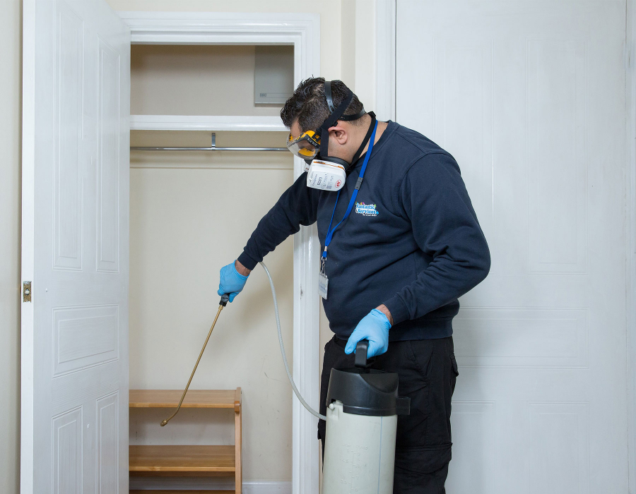 Cleaner sanitising cupboard