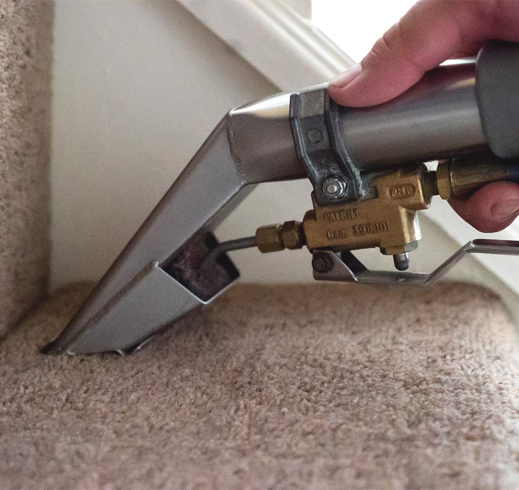 Professional Carpet Cleaning in London by Fantastic Cleaners