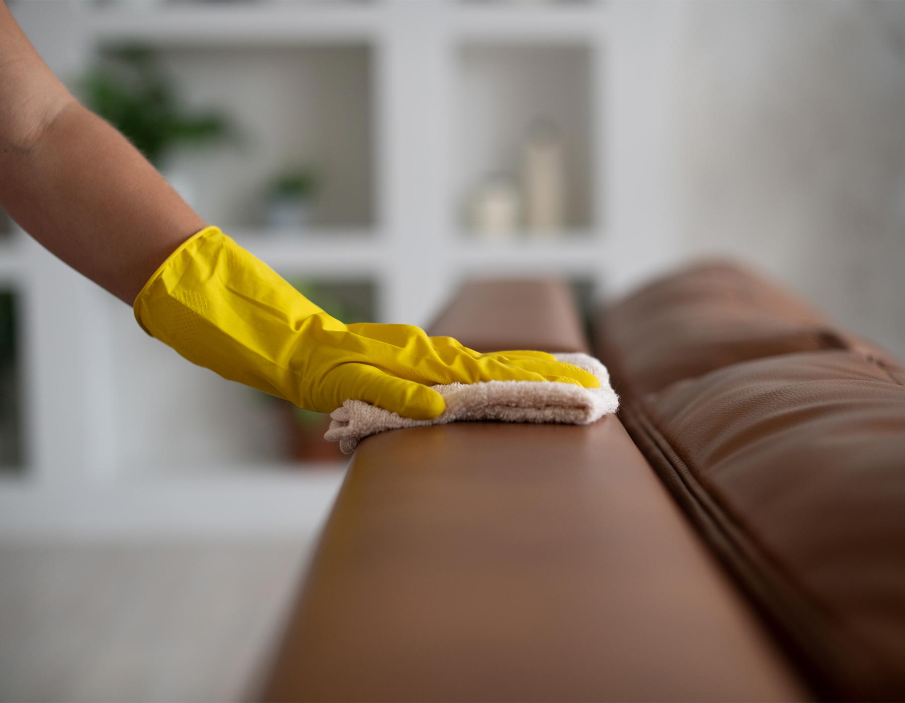 professional leather sofa cleaning services