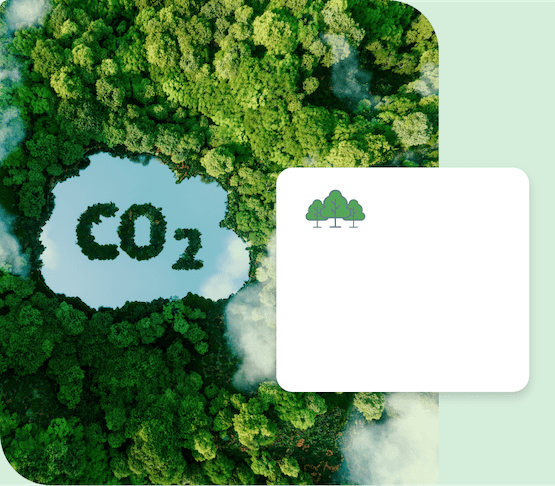 Sustainability-D a green forest with a blue lake and text