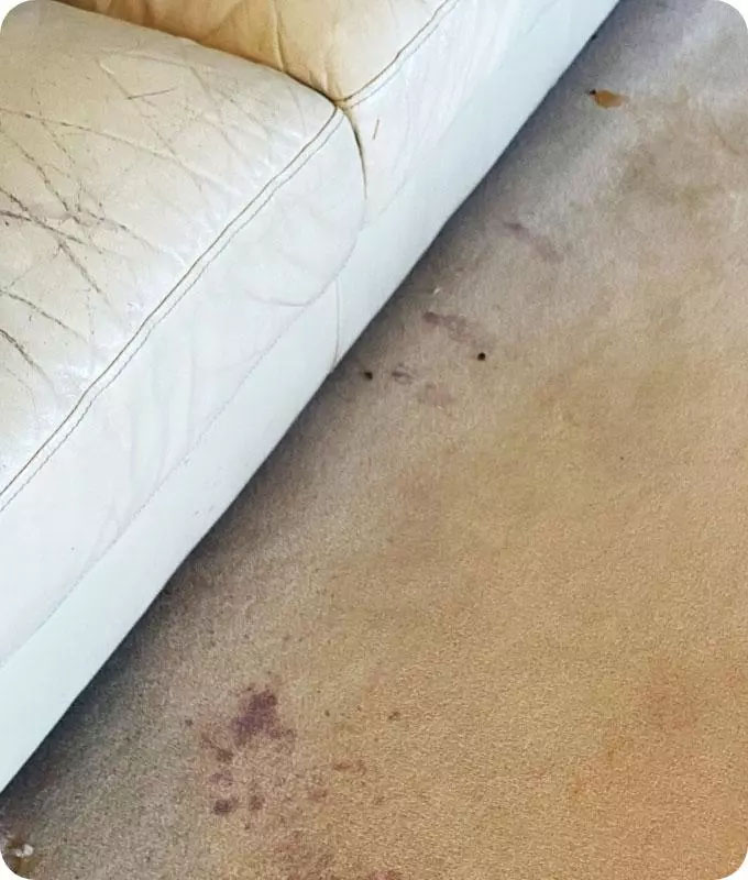 Carpet stained with red wine before cleaning