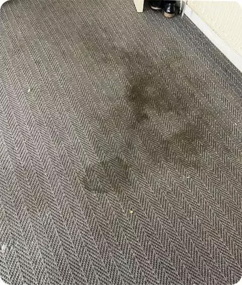 Dirty dark carpet before cleaning service