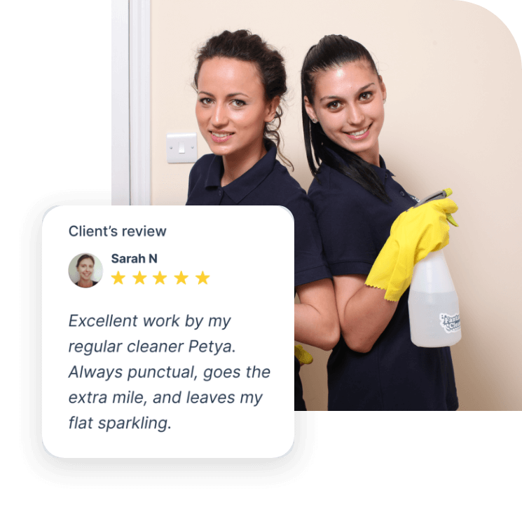 Expert domestic cleaners in London