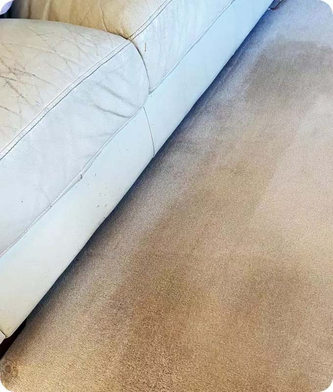Expertly cleaned carpet