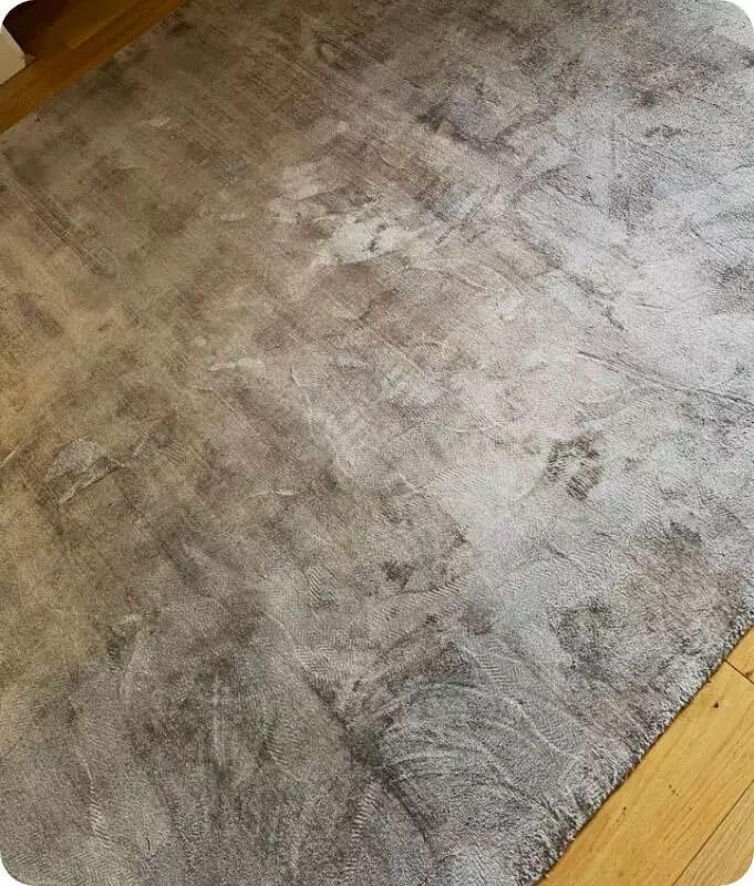 Rug after a session with a professional cleaner