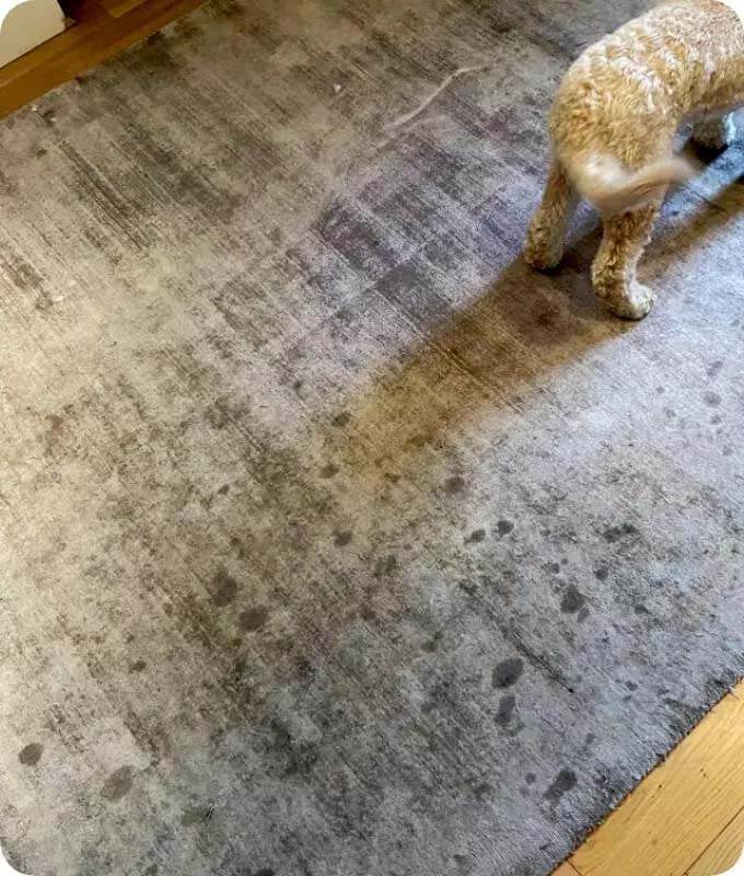 Stained rug in a London property before cleaning