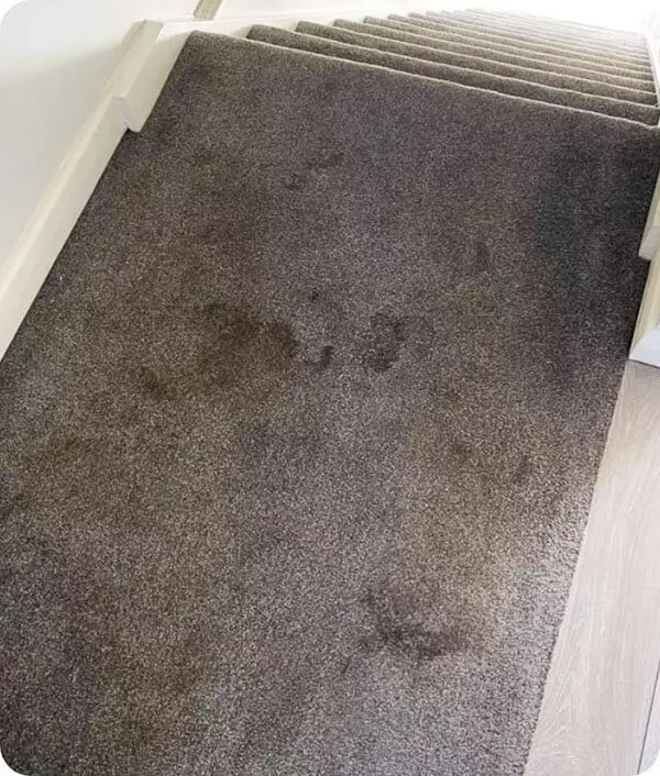 Stained staircase carpet before cleaning