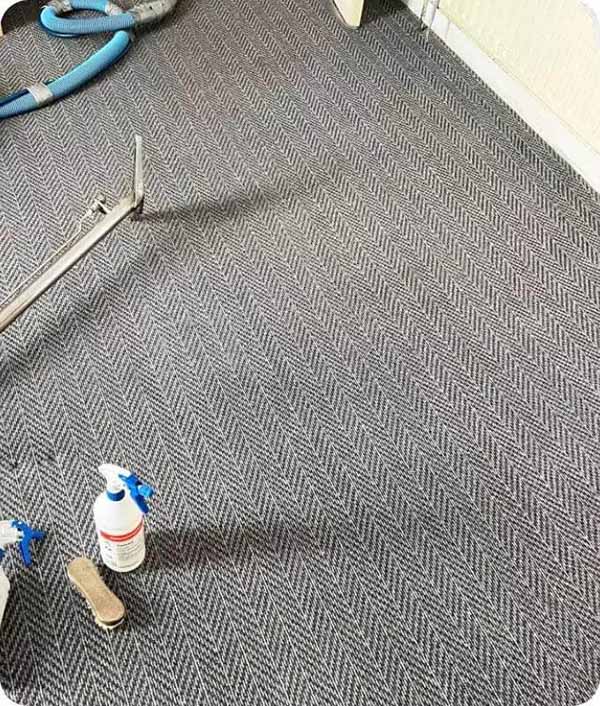 Steam cleaned carpet in a London property