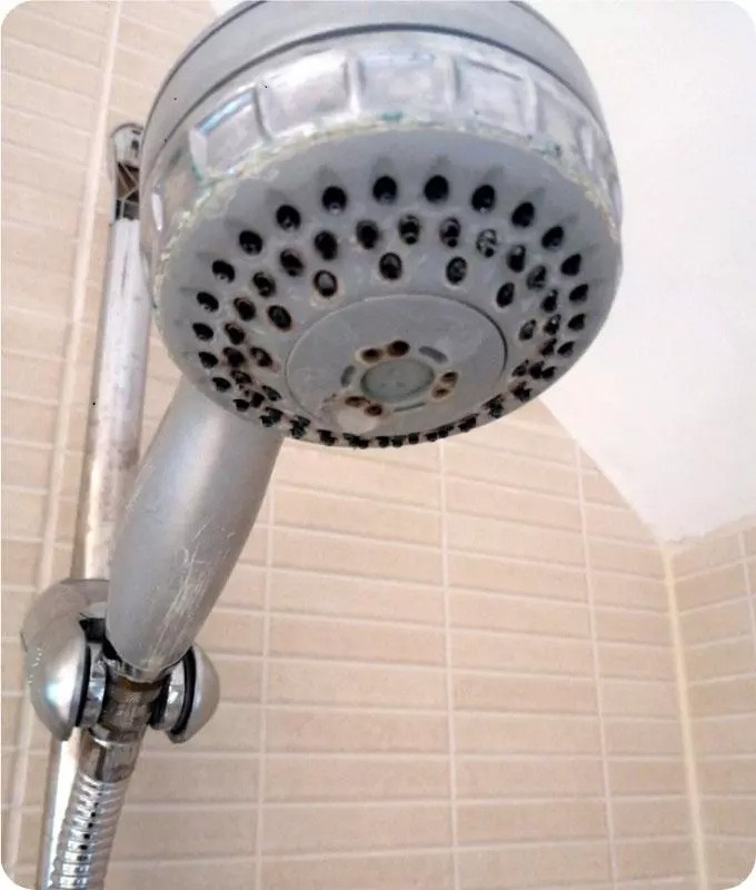 Stained shower head before cleaning